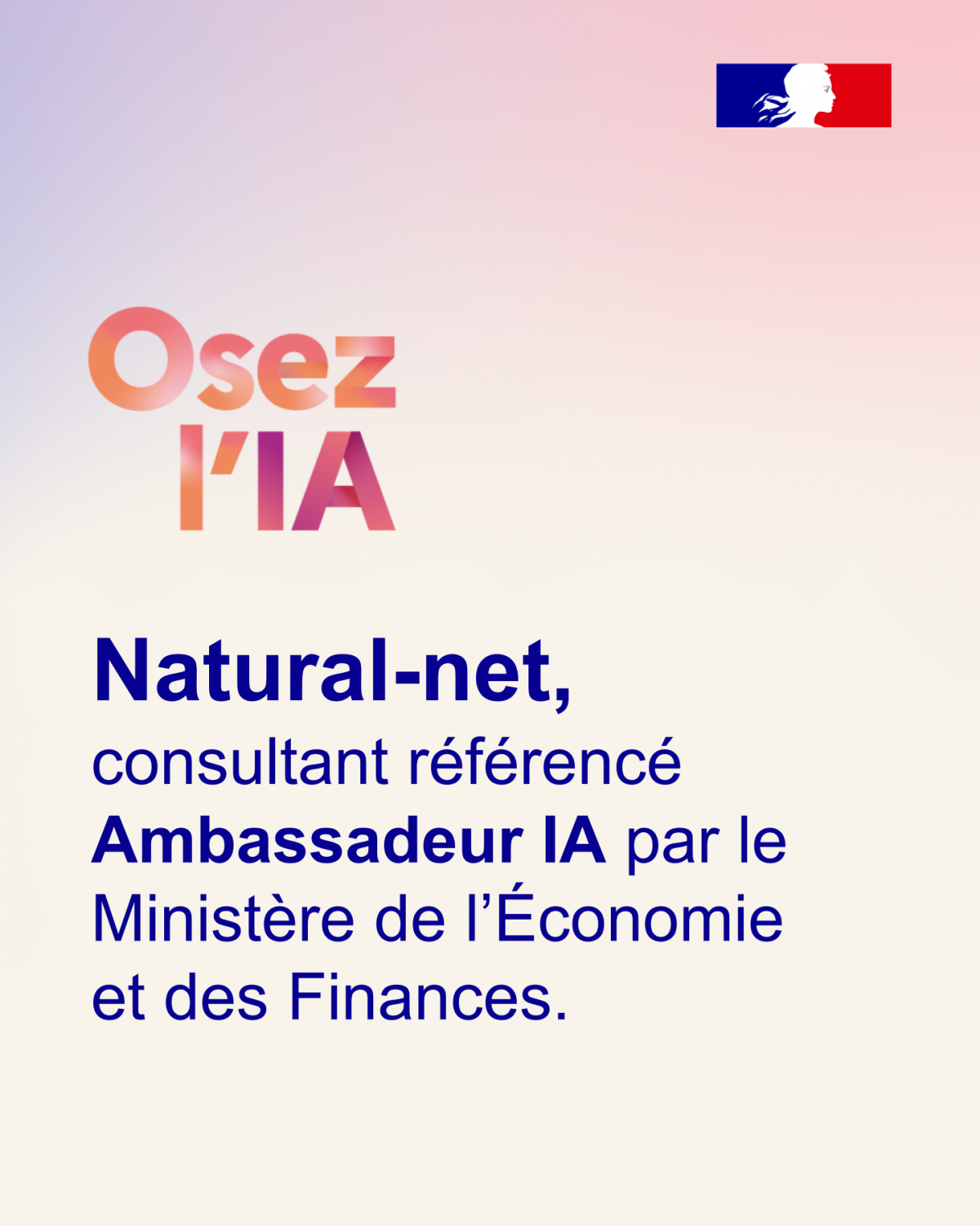 Votre consultant en Intelligence Artificielle référencé Ambassadeur IA