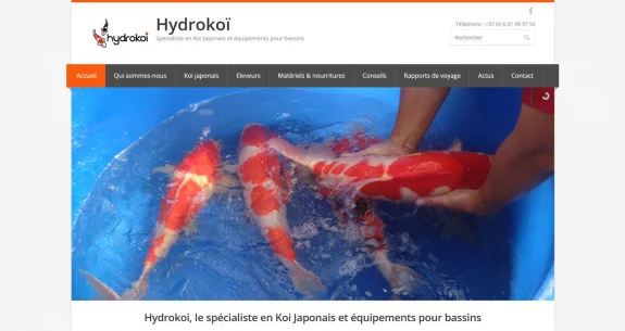 Mise en ligne du site Hydrokoï, spécialiste en carpes Koî