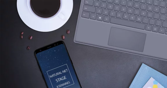 Bilan des 8 semaines de stage dans l'agence web Natural net