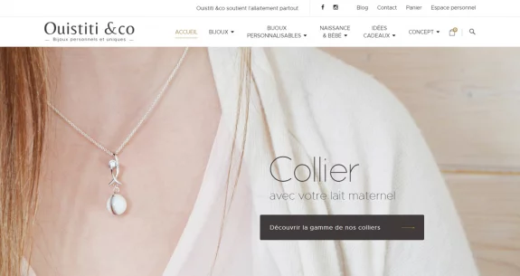 Refonte du site Ouistiti &co